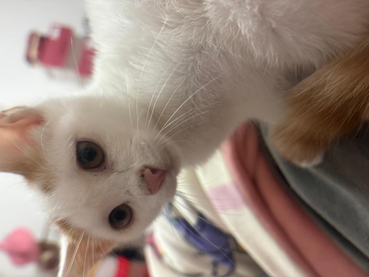 #