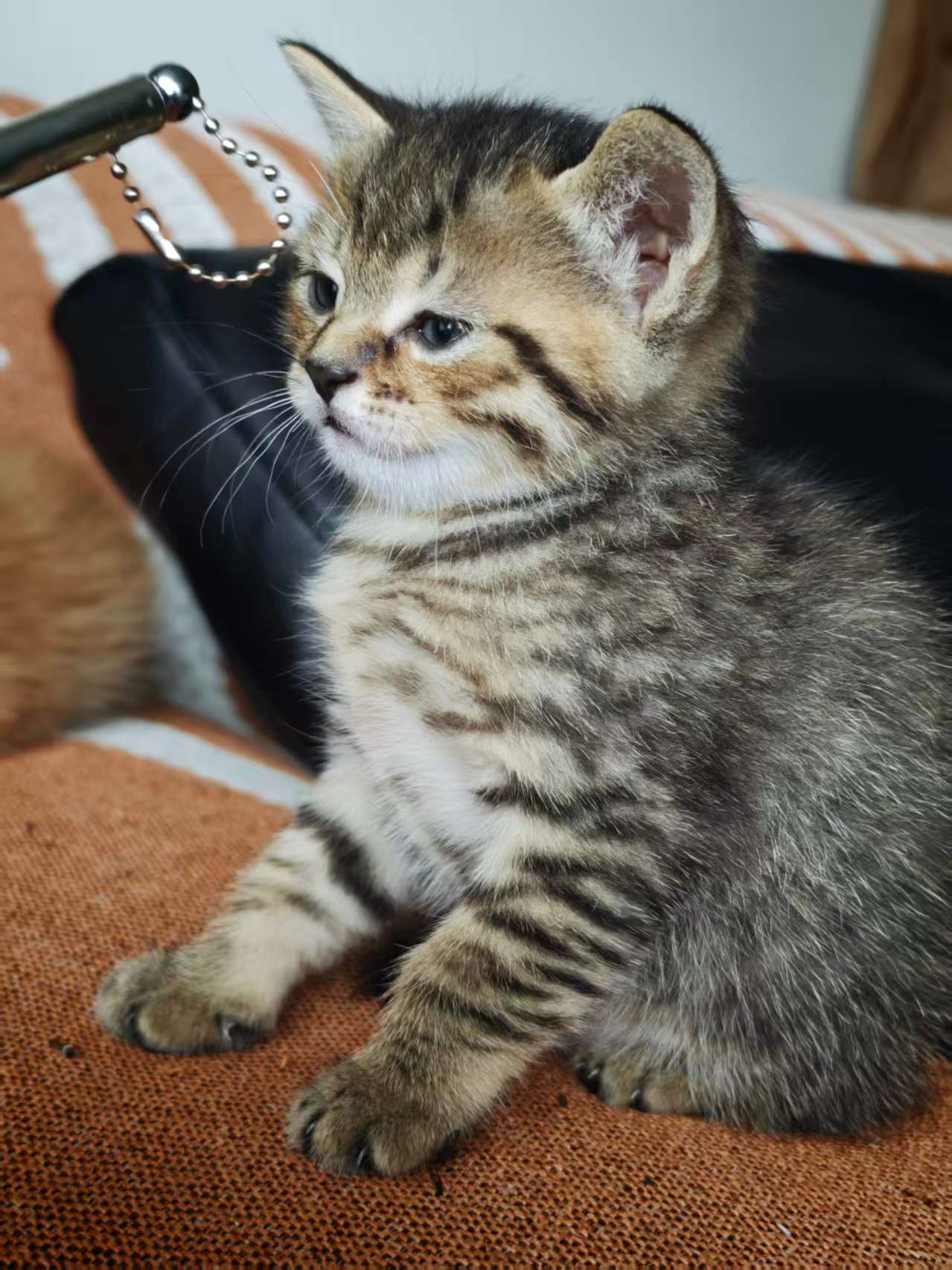 #