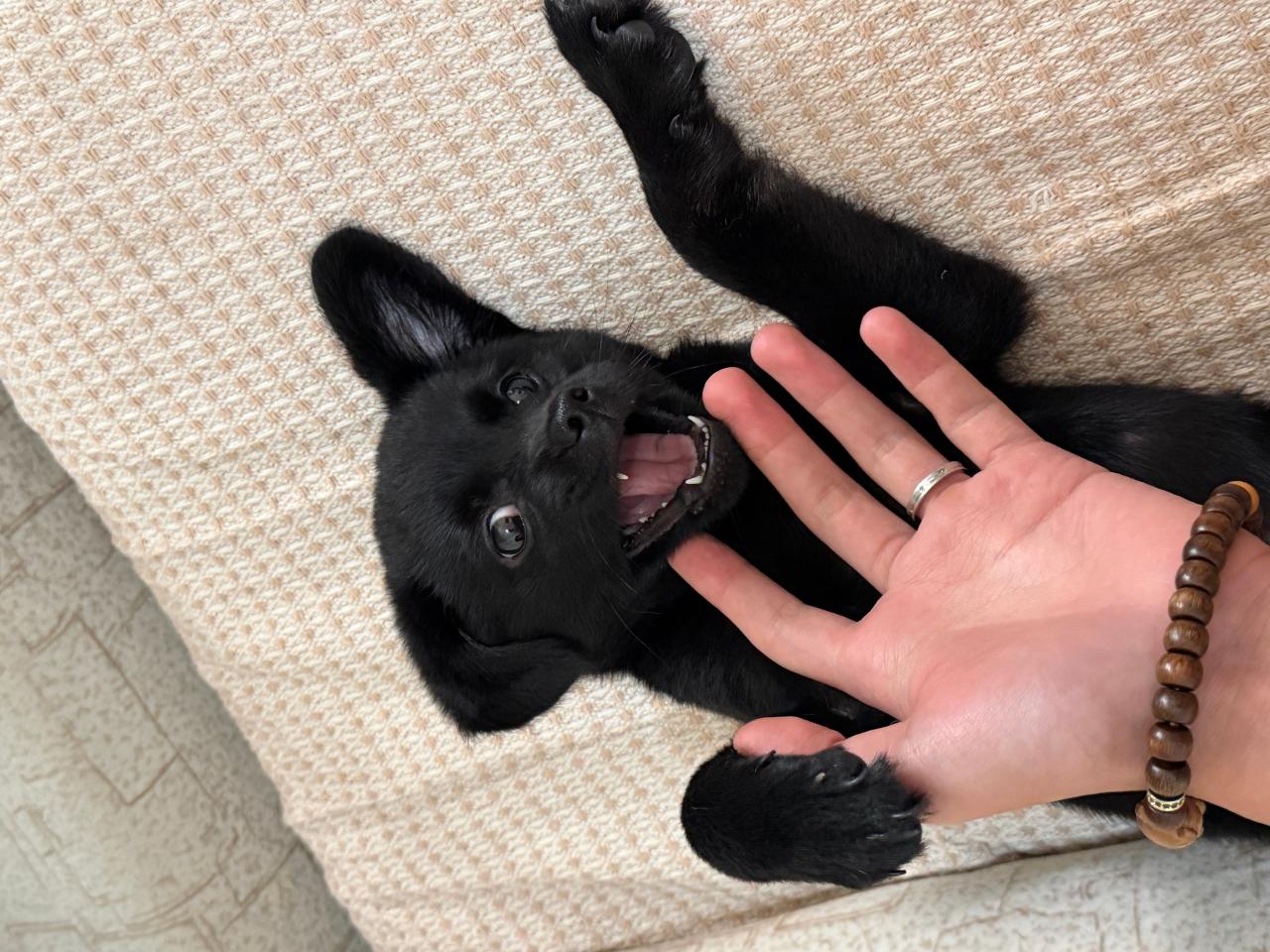 #