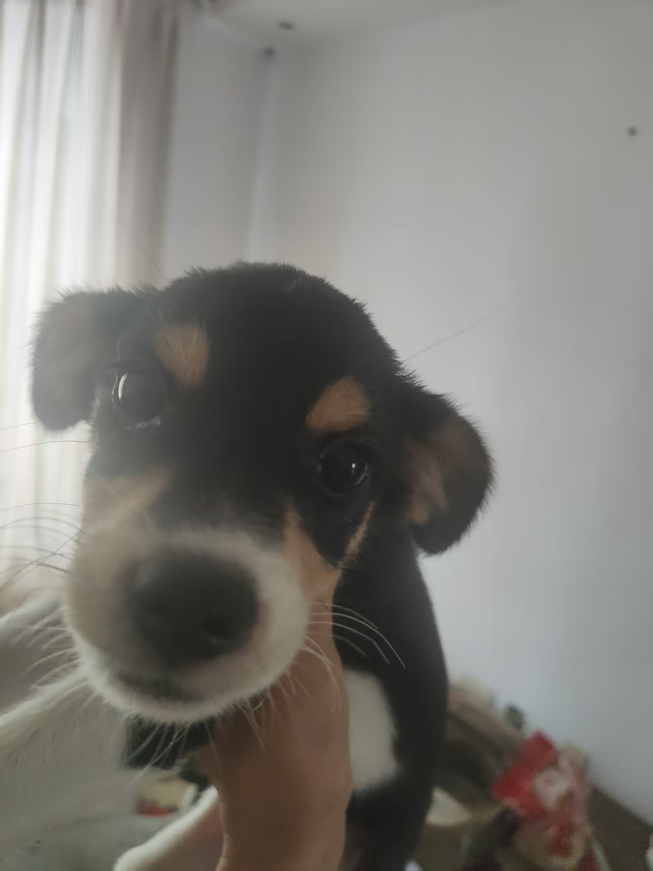 #
