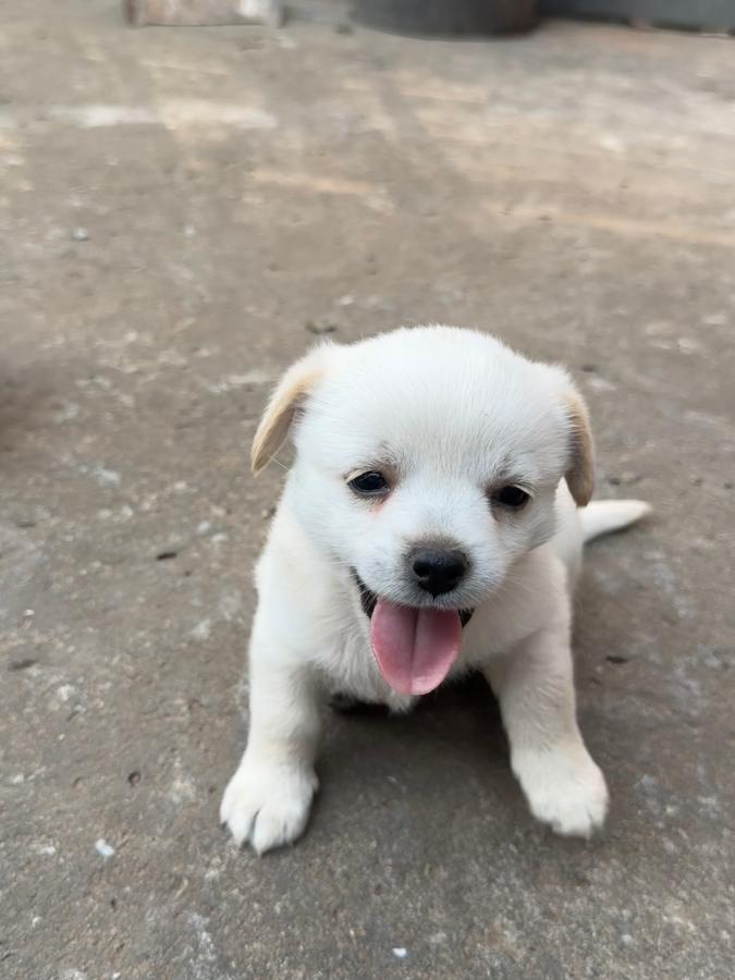 #