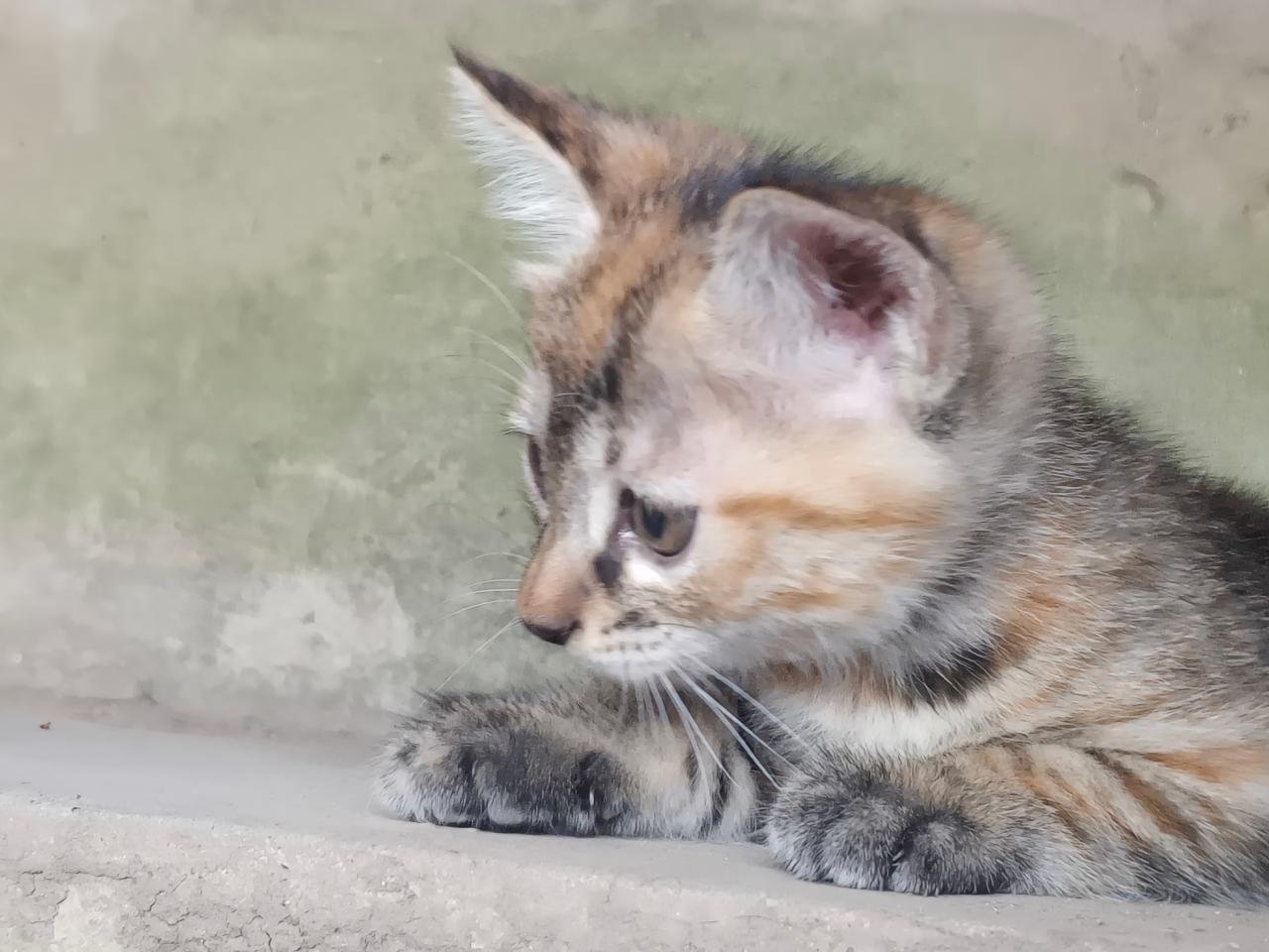 #
