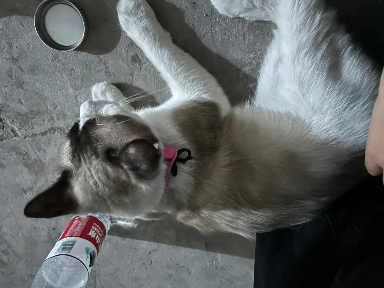 #