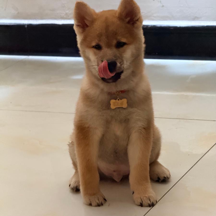 #