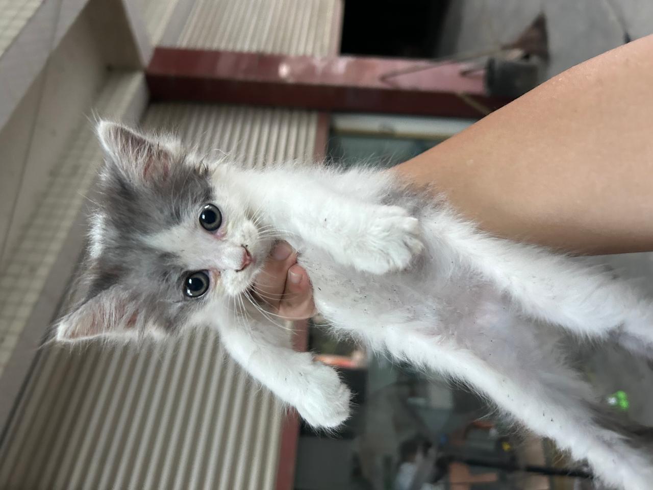#