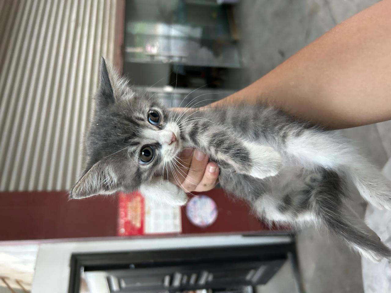 #