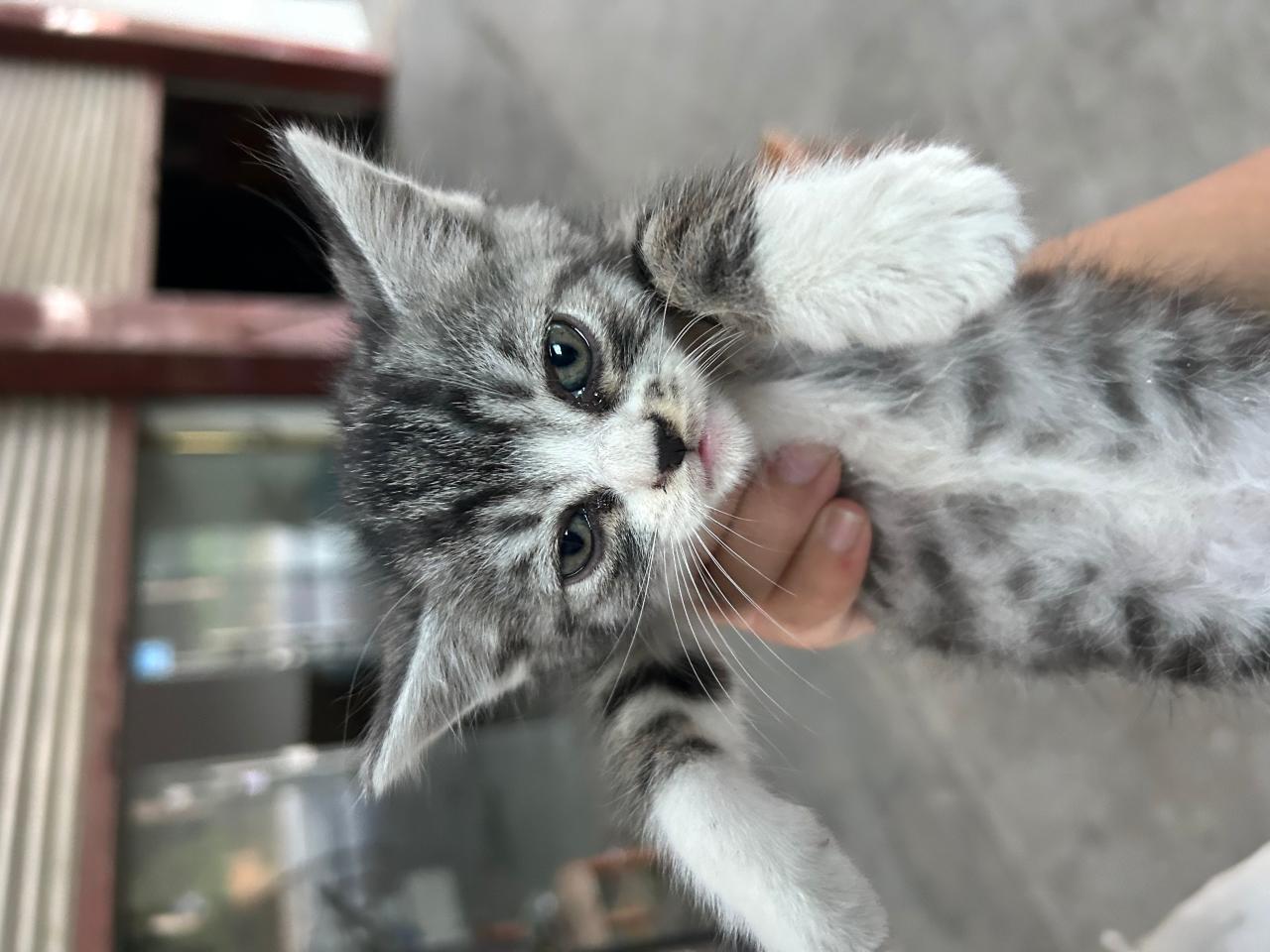 #