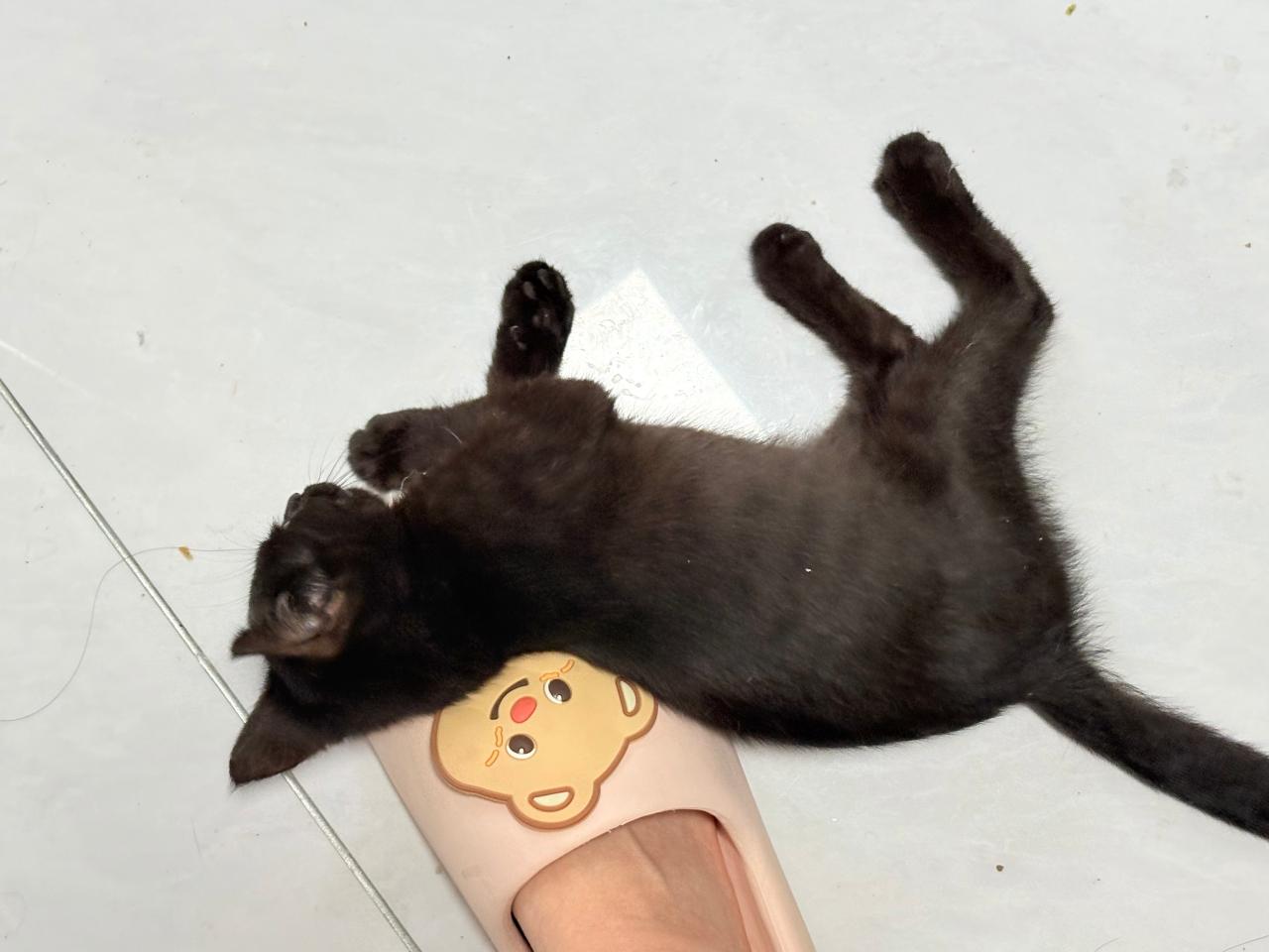 #