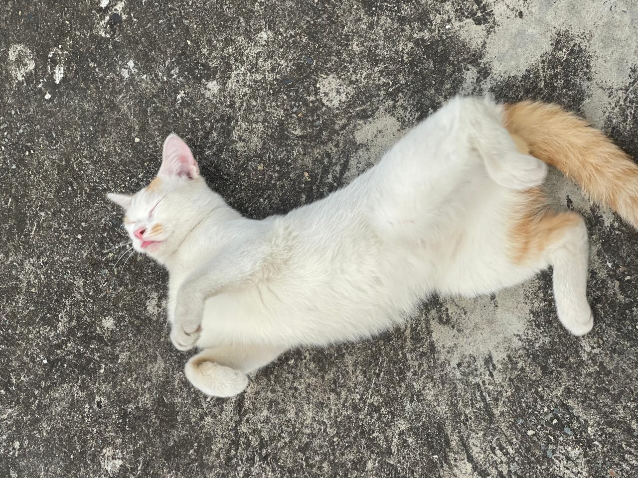 #