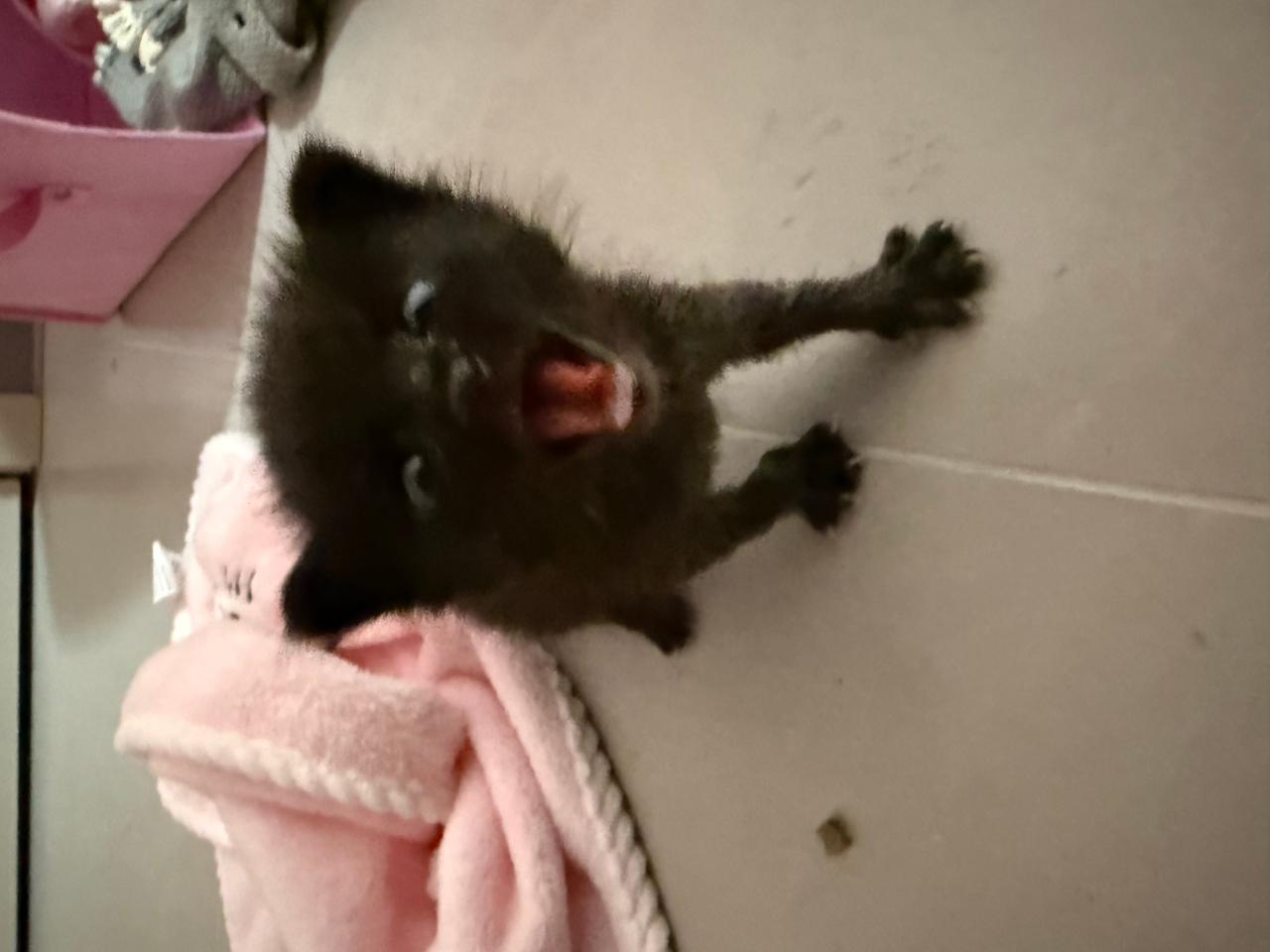#