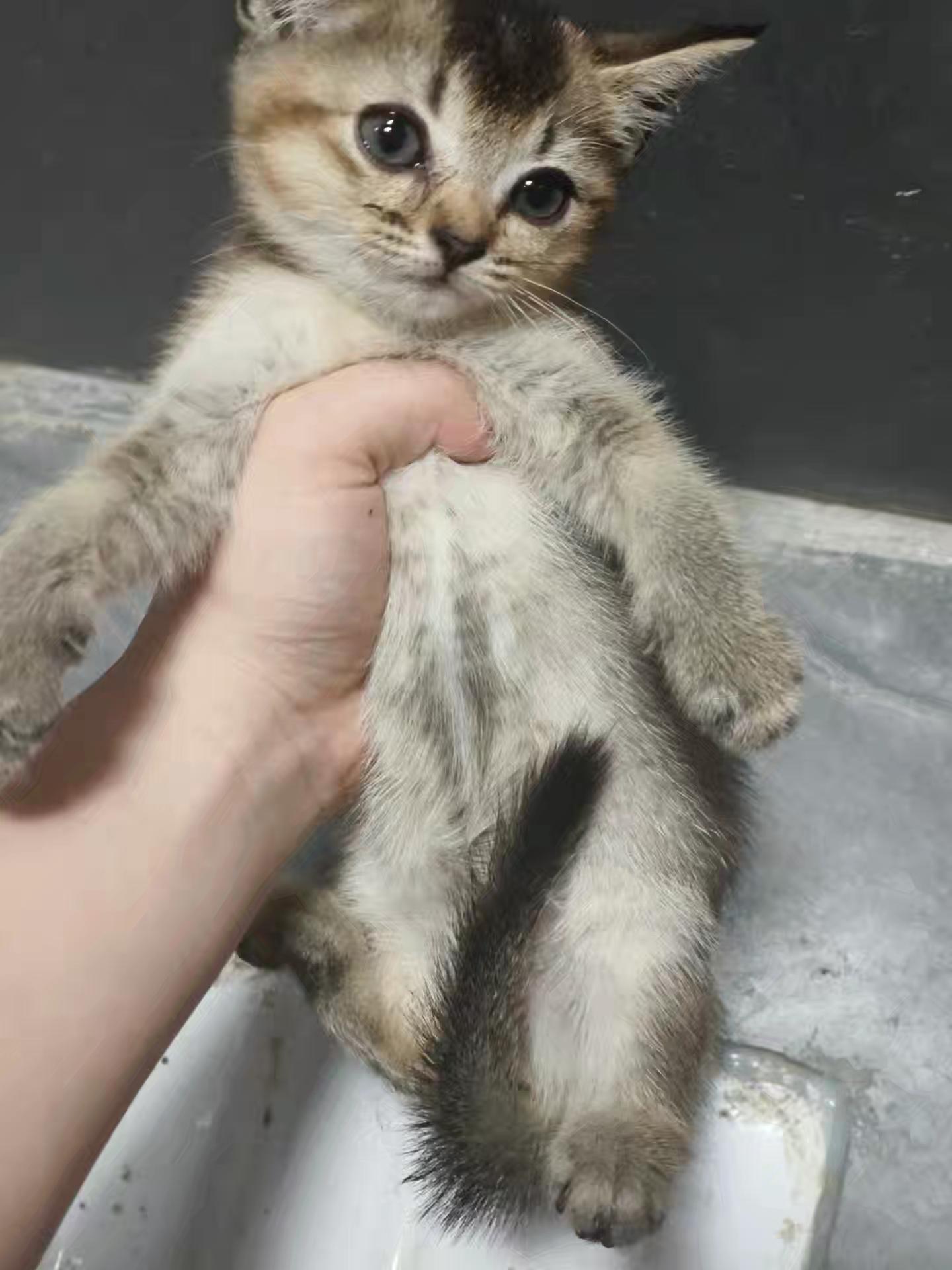 #