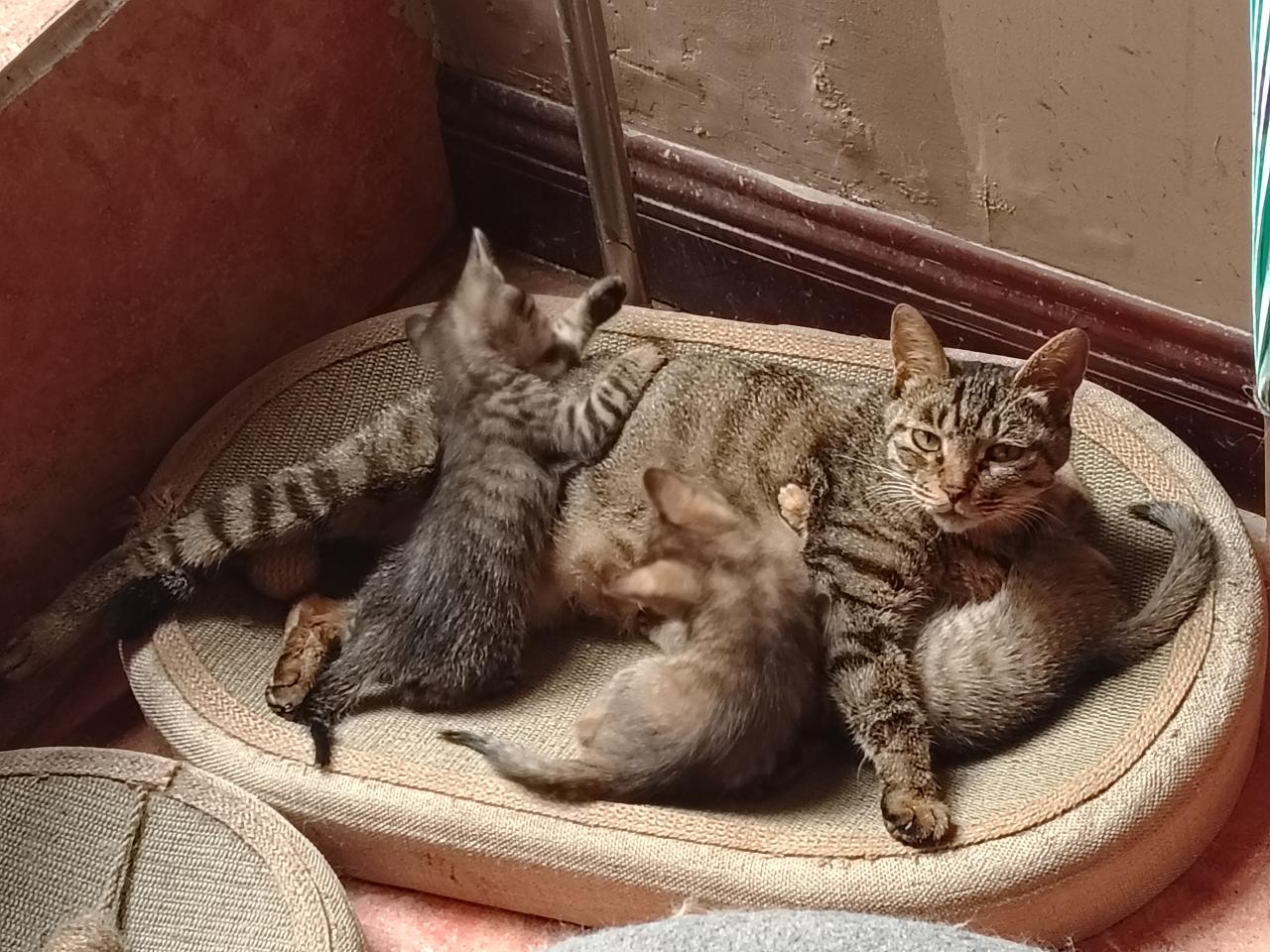 #