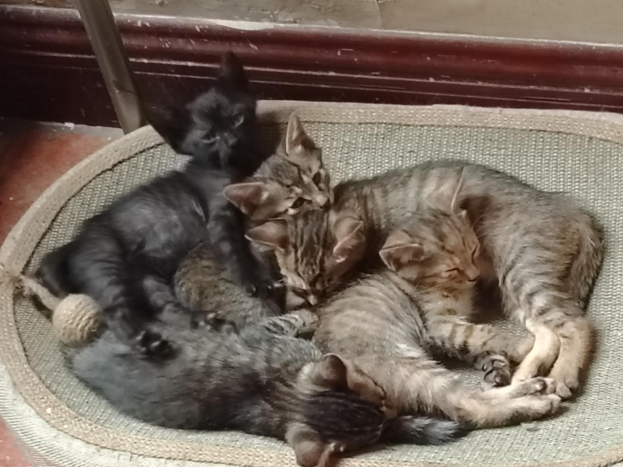 #