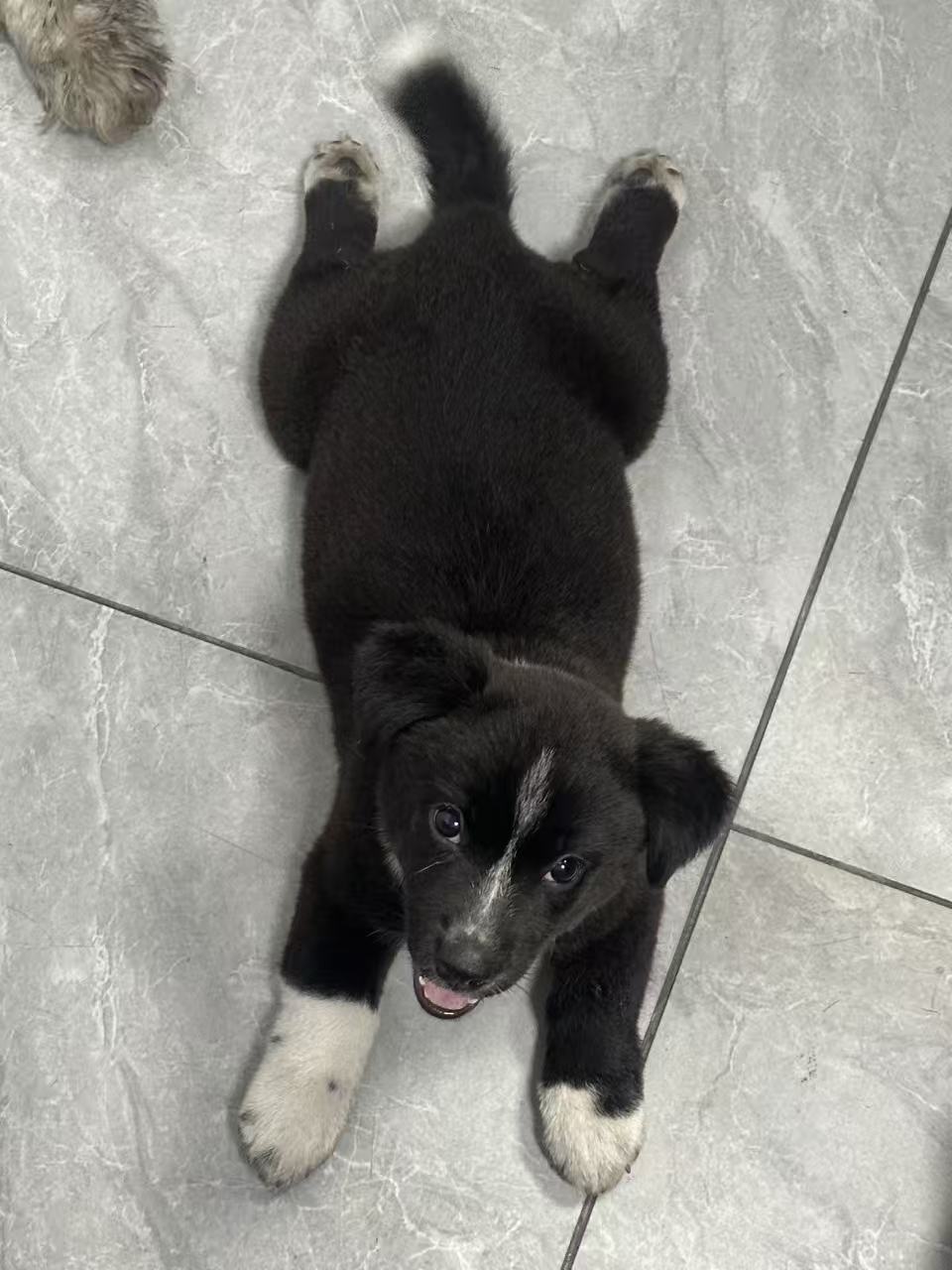 #