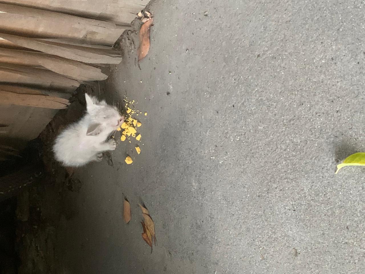 #