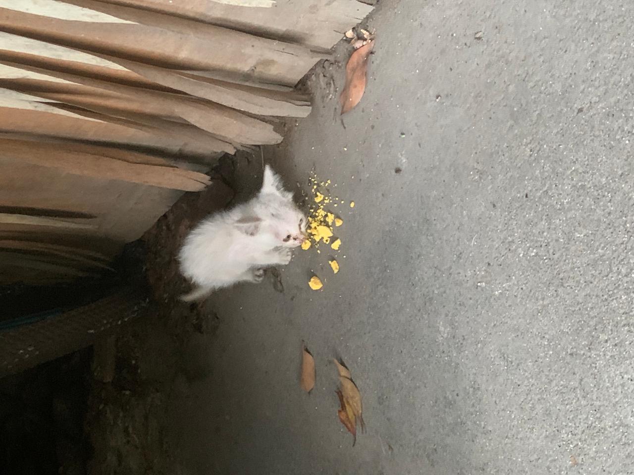 #