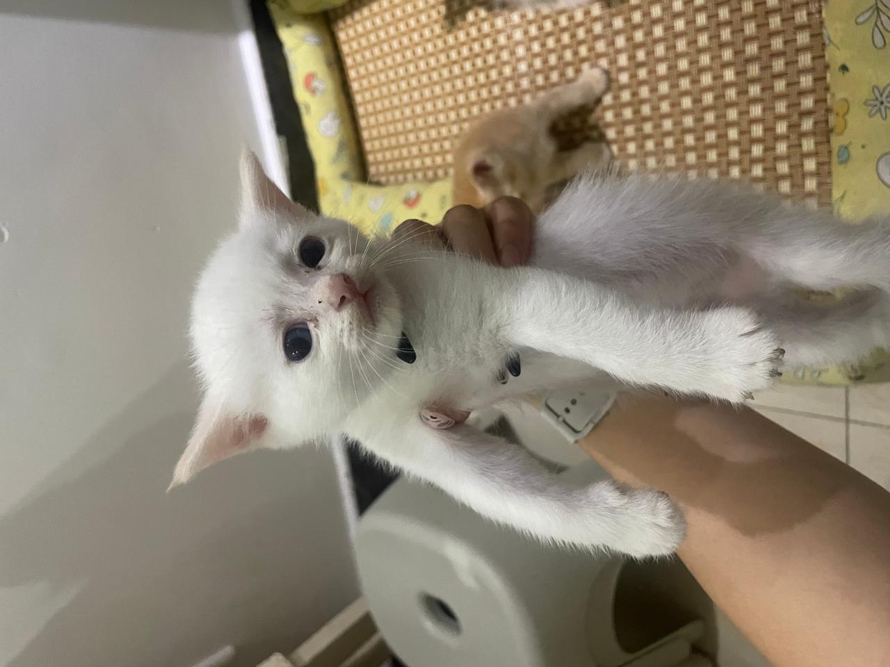 #