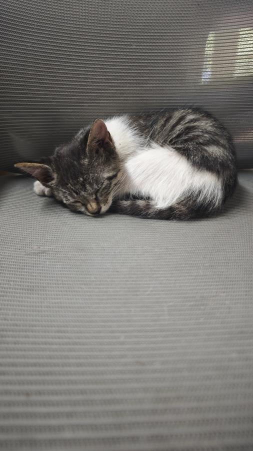 #