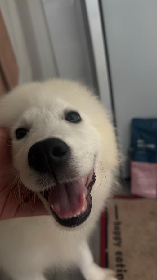 #