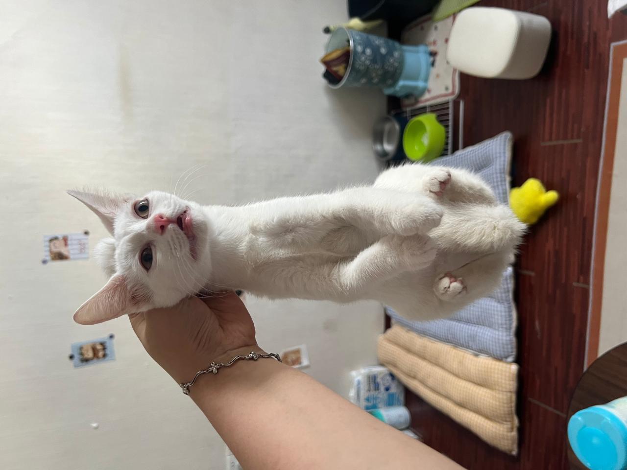 #