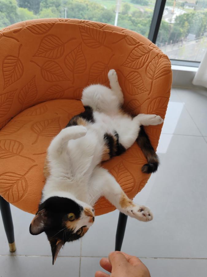 #