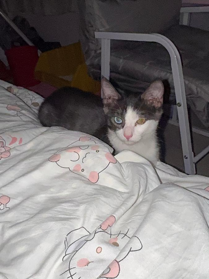 #