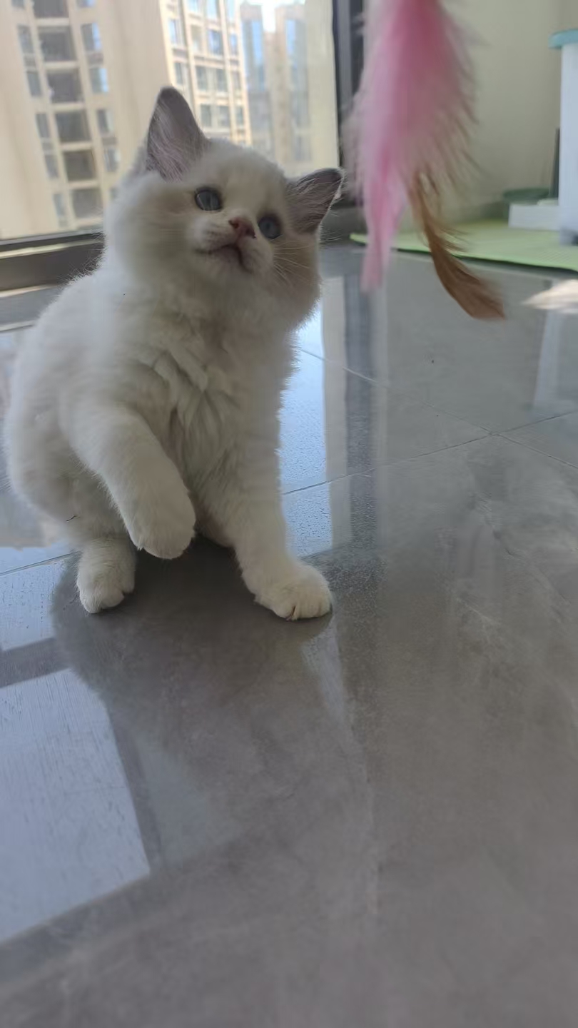 #