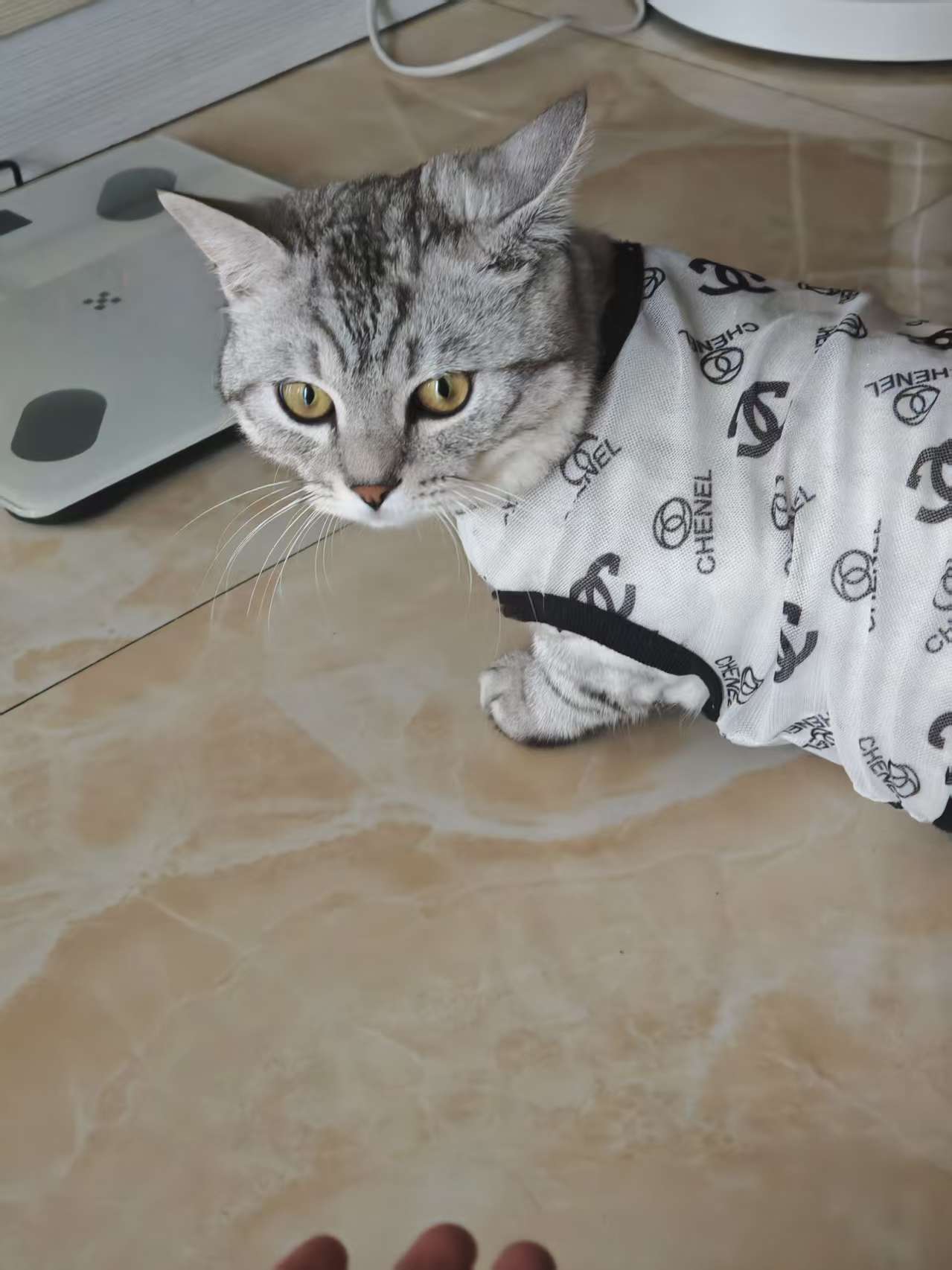 #