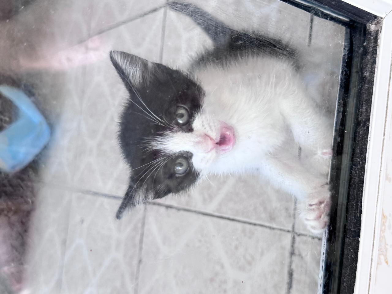 #