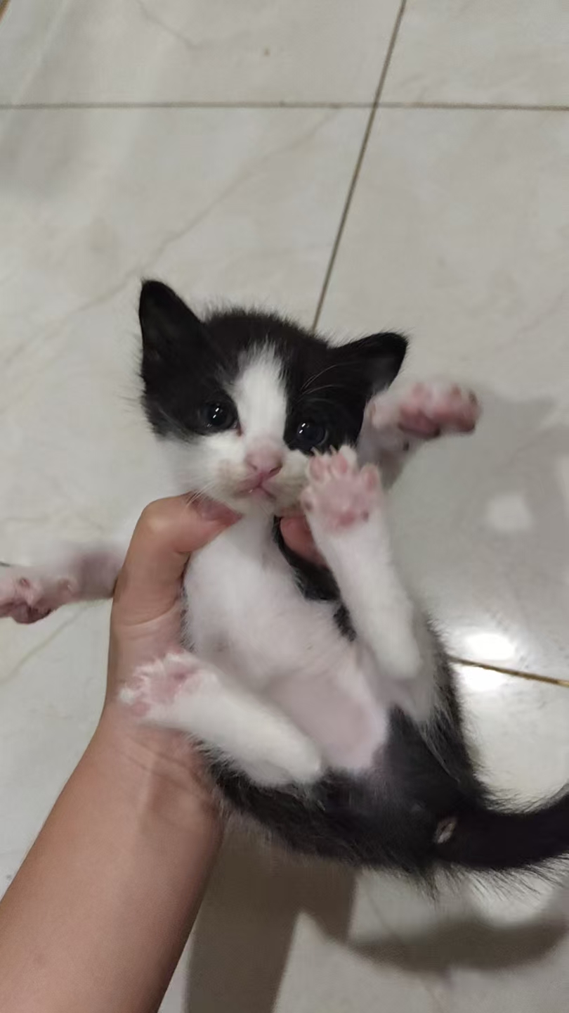 #