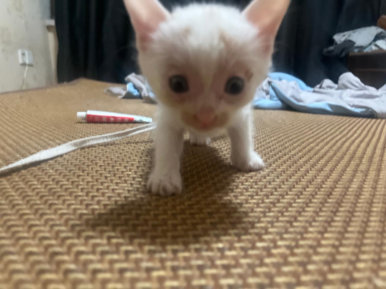 #