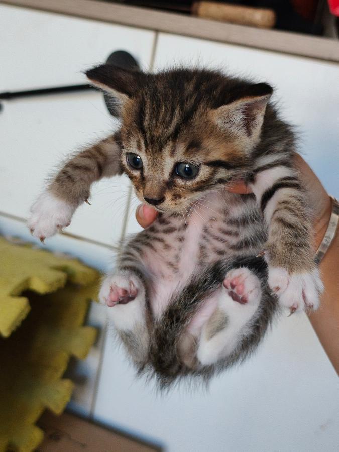 #