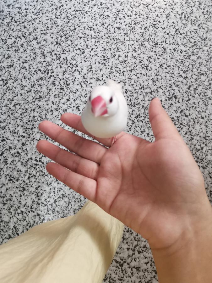 #