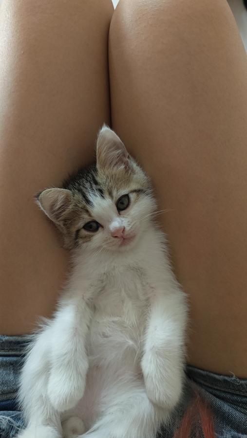 #