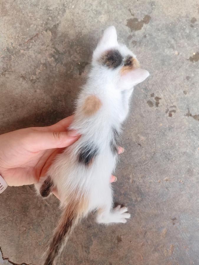 #