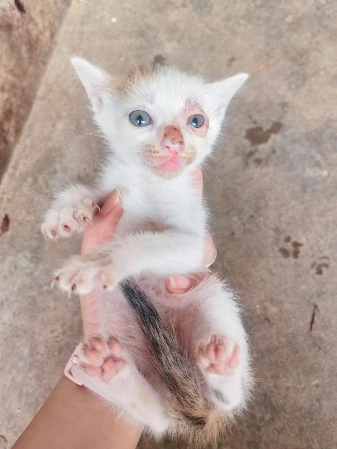 #