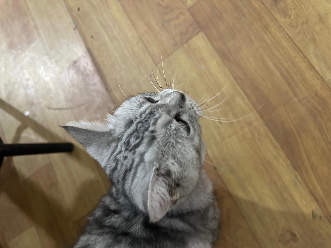 #