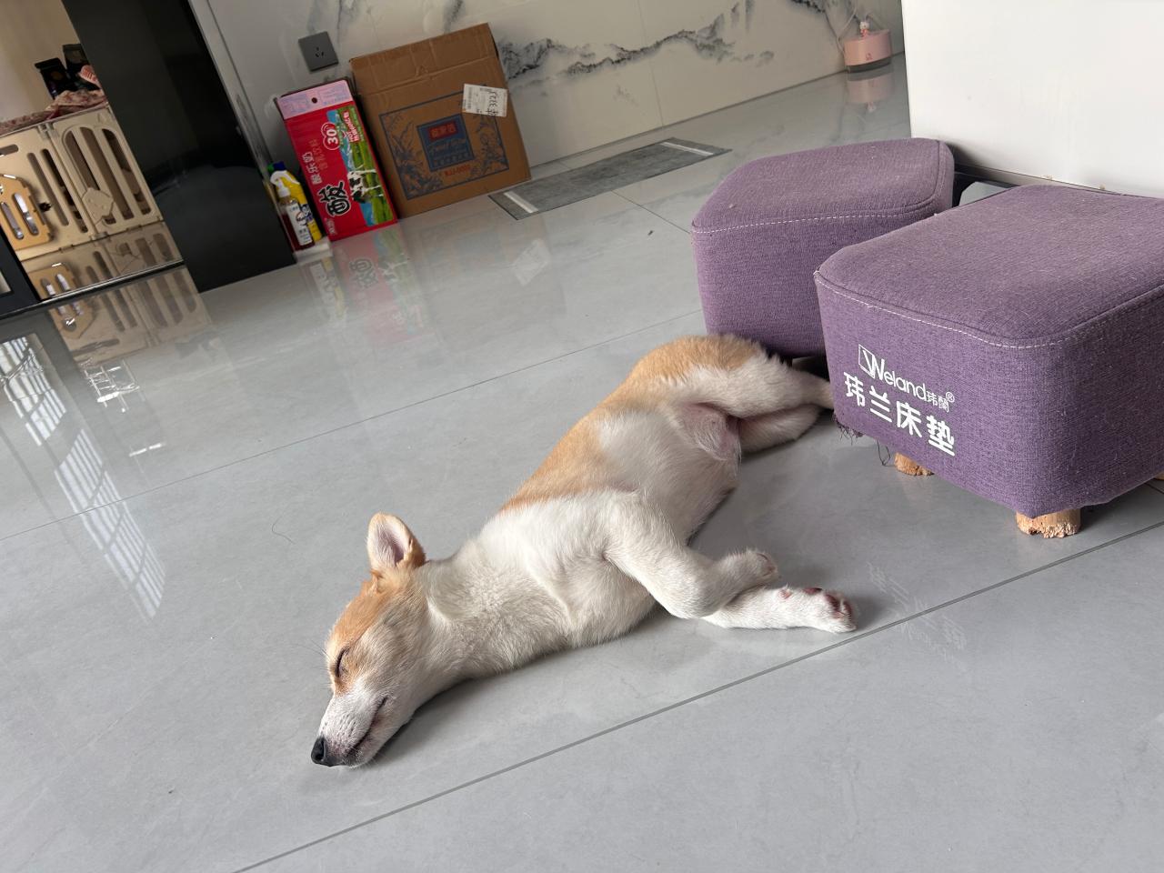 #