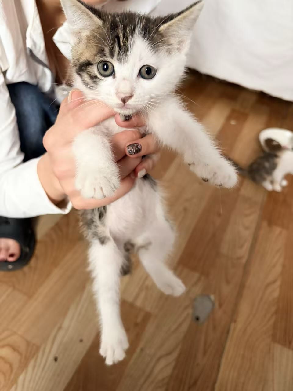 #