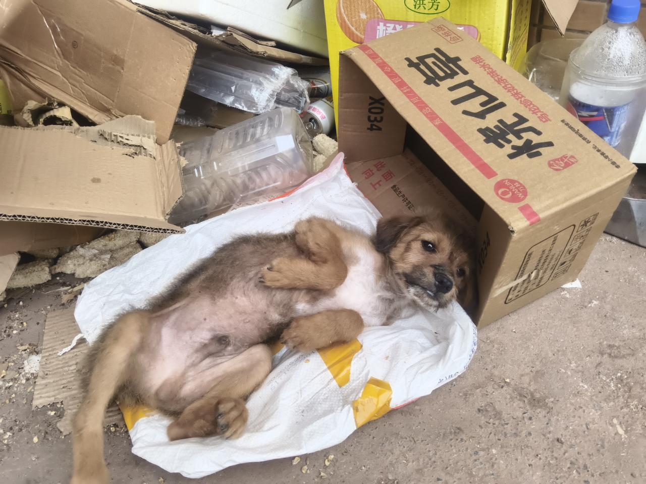 #