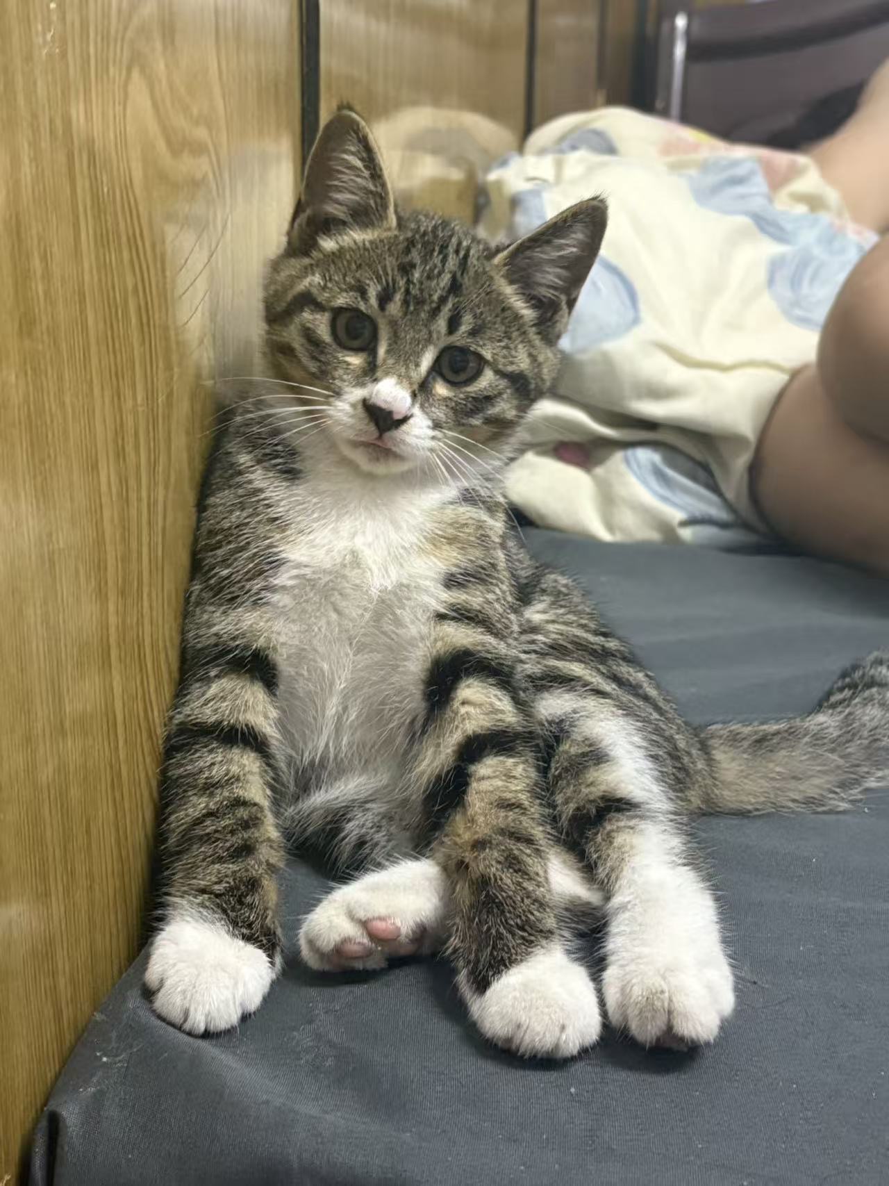 #