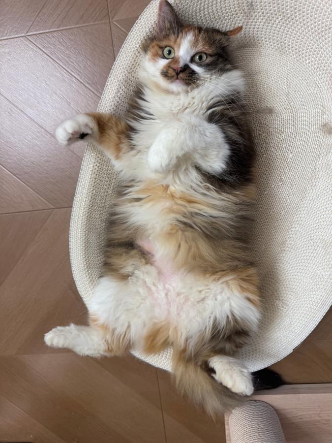 #