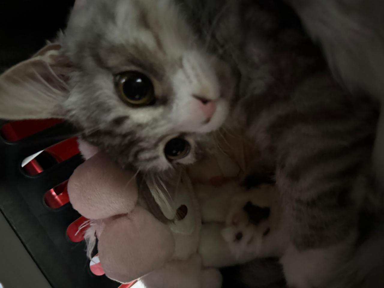 #