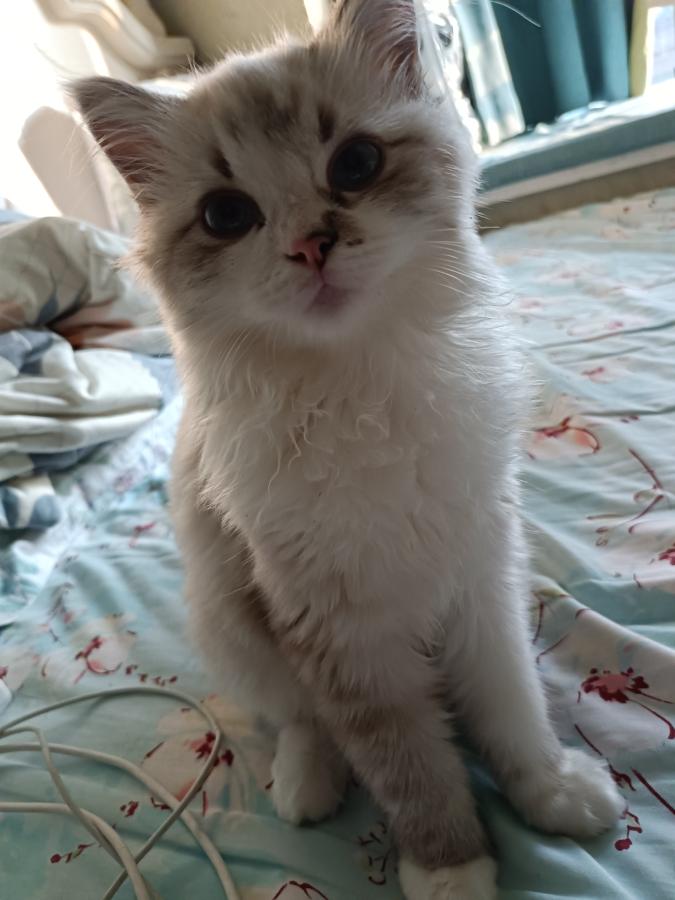 #