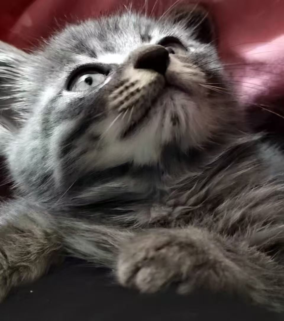 #
