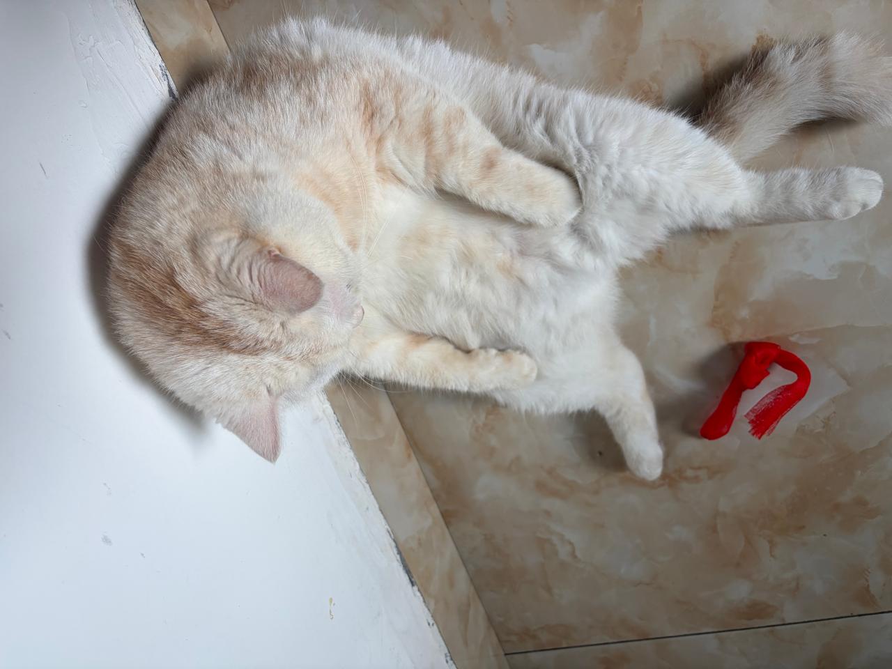 #