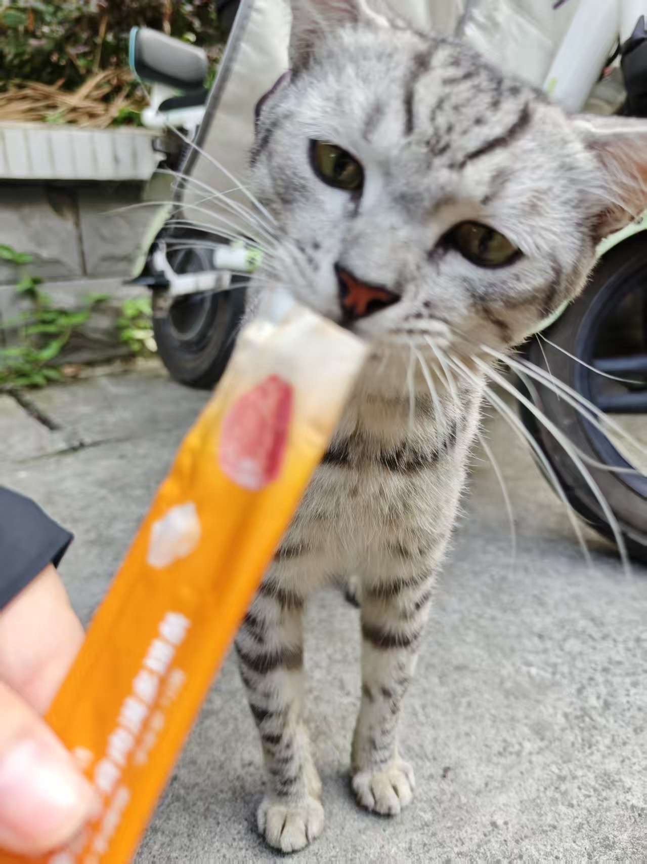#