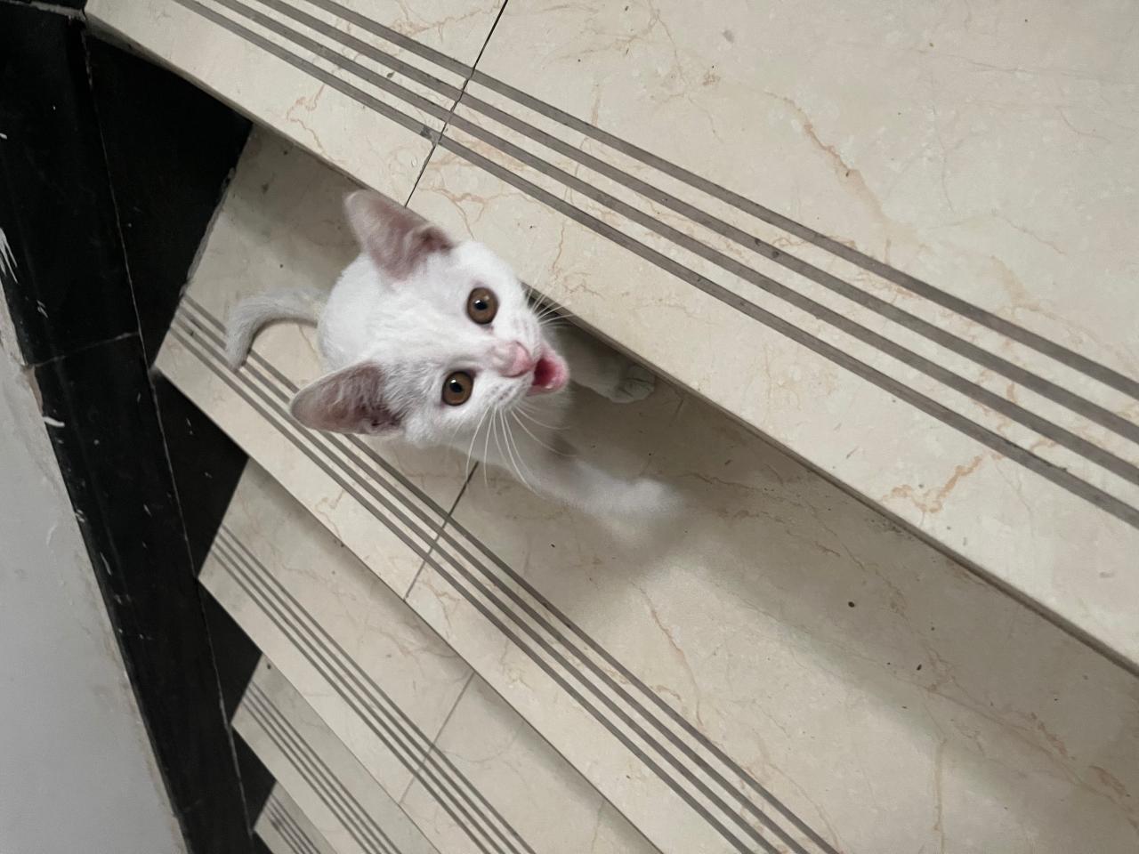 #