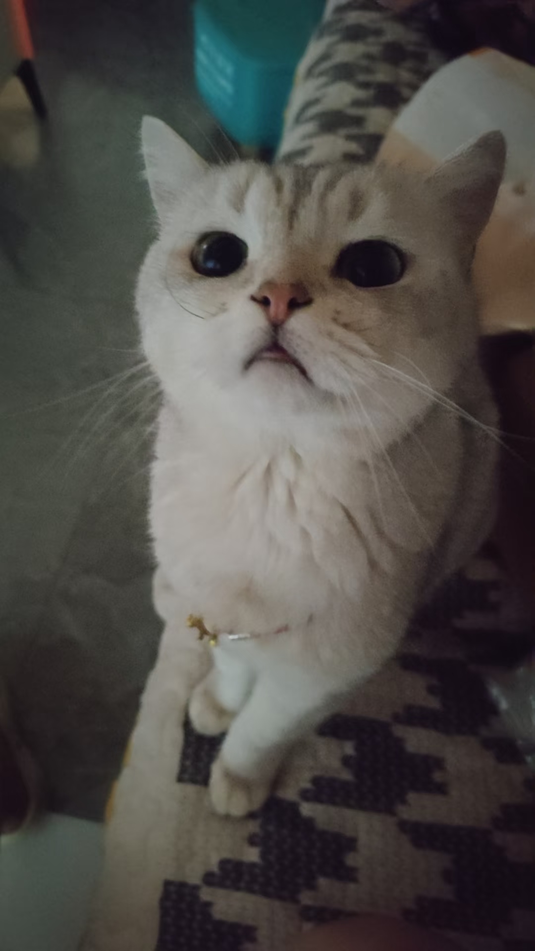 #