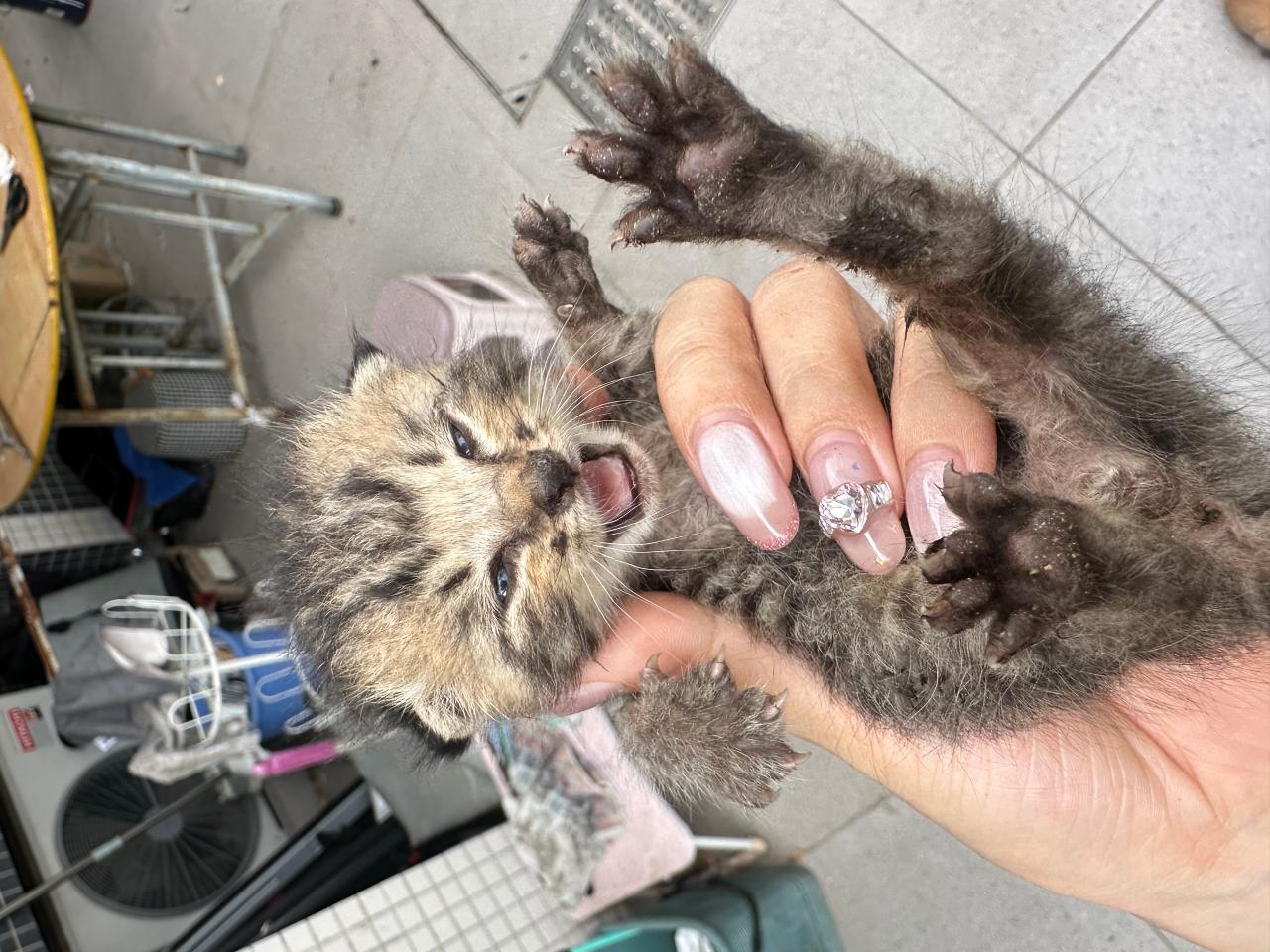#